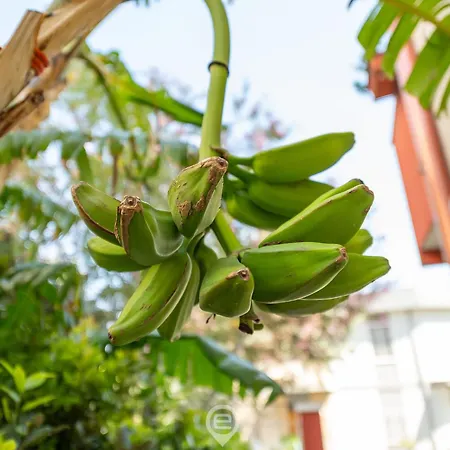 Monteverdi - 1 * Cagliari