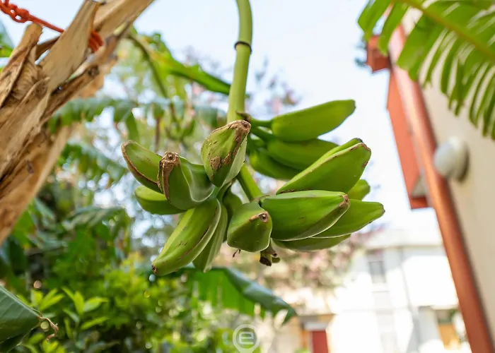 Monteverdi - 1 * Кальяри